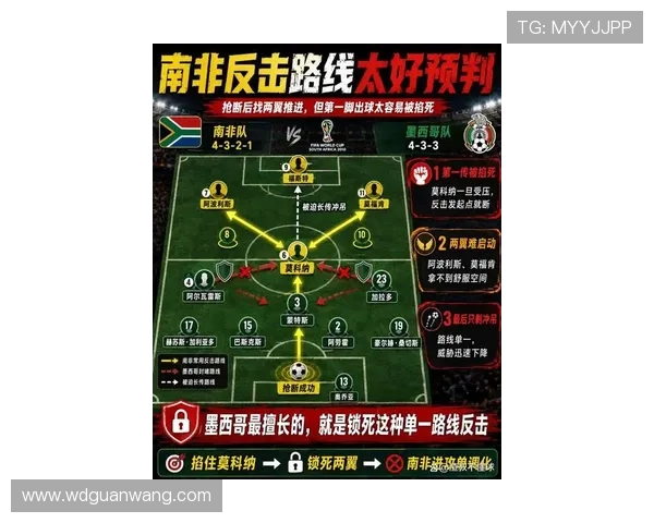 2026年世界杯墨西哥对南非胜率影响因素详解及赛前策略建议